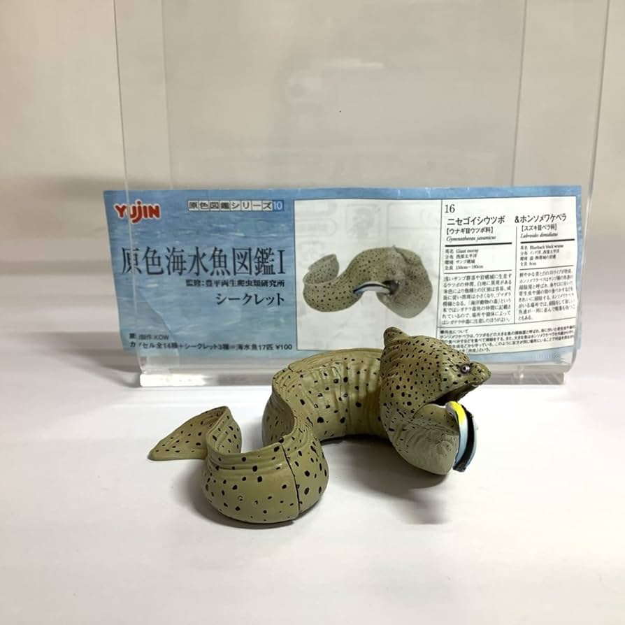 ユージン 原色図鑑シリーズ10 原色海水魚図鑑I 28個セット Amazon.co.jp: YUJIN 原色図鑑シリーズ10 原色海水魚図鑑Ⅰ 25個